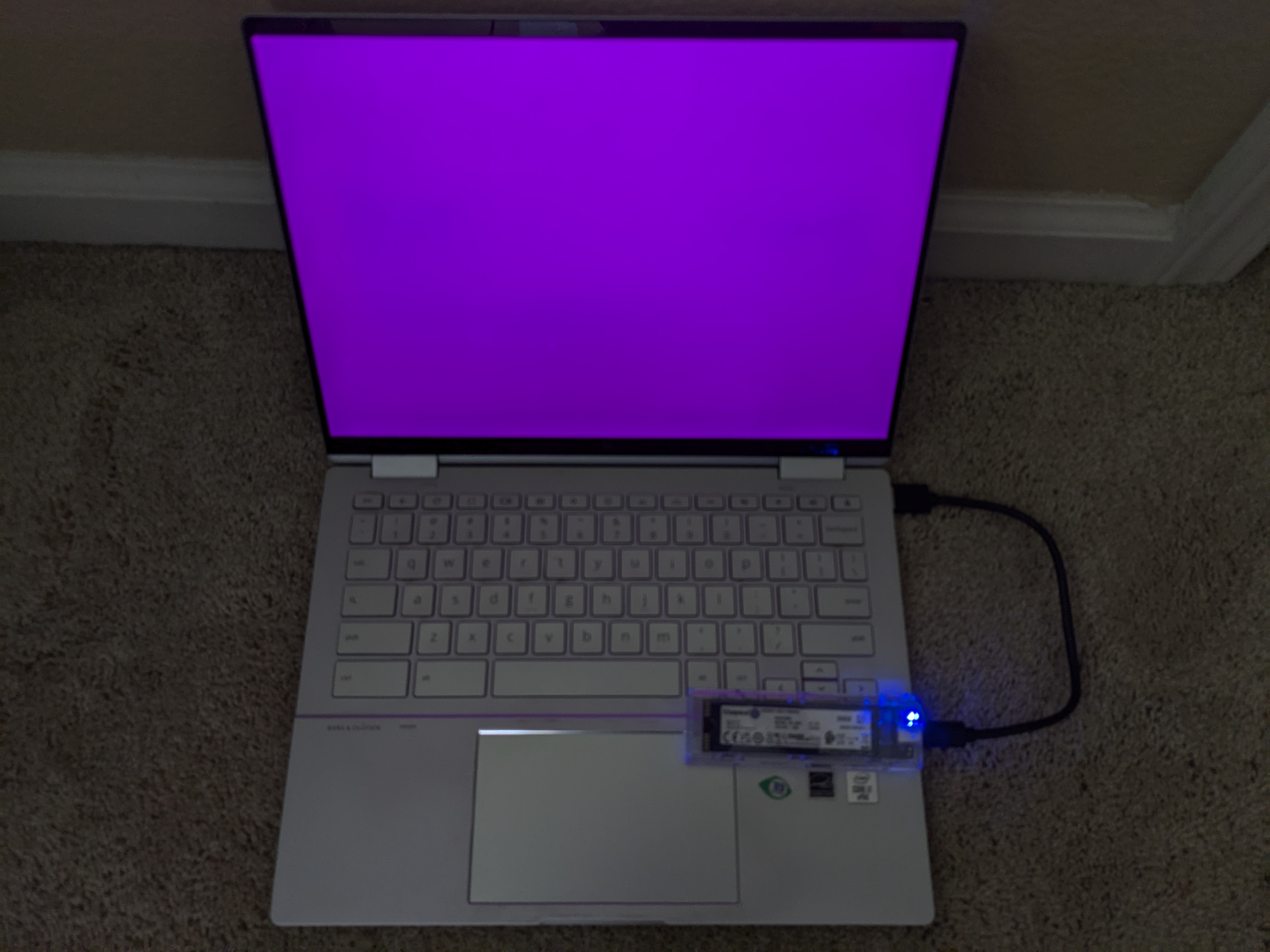 Picture of a Jinlon with a magenta screen